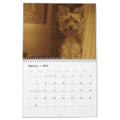 "Jack" the Yorkie - Agenda 2014 Kalender (Feb 2027)