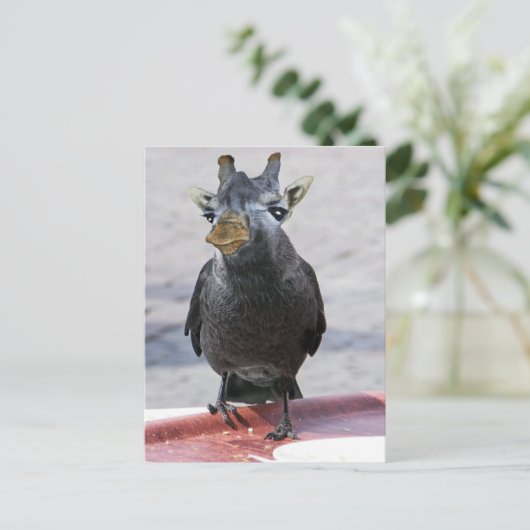 Jackaffe Briefkaart (Staand voorkant)