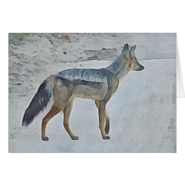 Jackal (Voorkant Horizontaal)