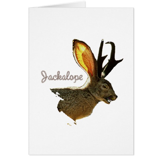 Jackalope (Voorkant)