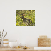 Jackalope 1 poster (Keuken)