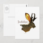 Jackalope Briefkaart (Voorkant / Achterkant)