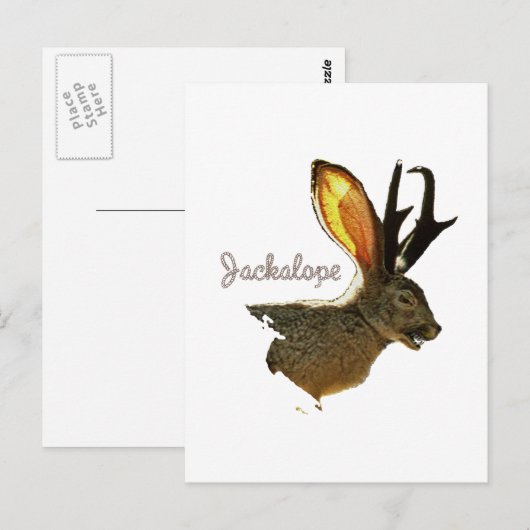 Jackalope Briefkaart (Voorkant / Achterkant)