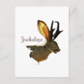 Jackalope Briefkaart (Voorkant)