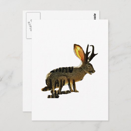 Jackalope Briefkaart (Voorkant / Achterkant)