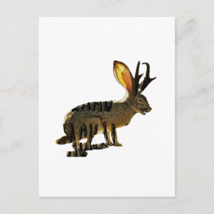 Jackalope Briefkaart