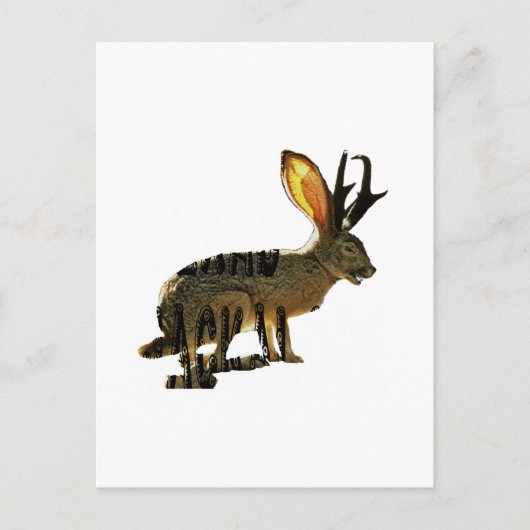 Jackalope Briefkaart (Voorkant)