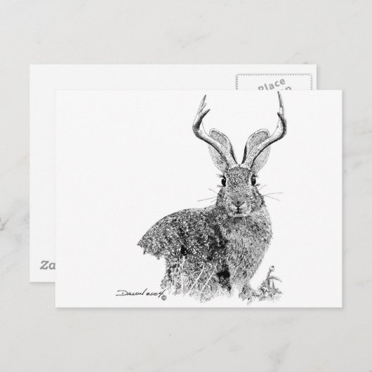 Jackalope Briefkaart (Voorkant / Achterkant)