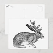 Jackalope Briefkaart (Voorkant / Achterkant)