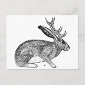 Jackalope Briefkaart (Voorkant)