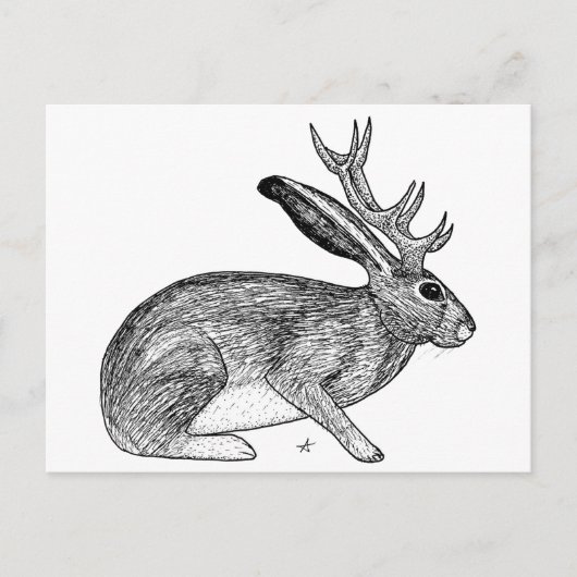 Jackalope Briefkaart (Voorkant)