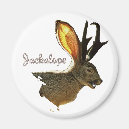 Jackalope Magneet (Voorkant)