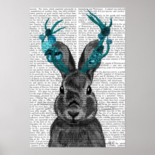 Jackalope met Turquoise Antlers Poster (Voorkant)