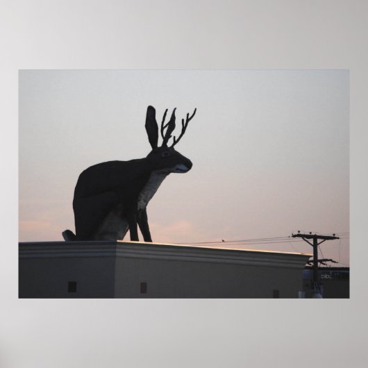 Jackalope Poster (Voorkant)