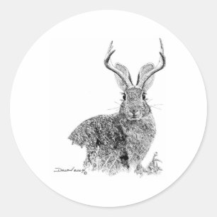Jackalope Ronde Sticker