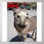 Jackass 002 poster (Voorkant)