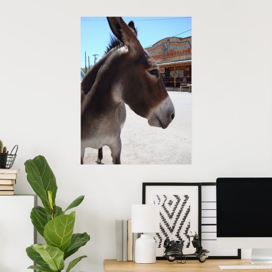 Jackass Poster (Thuiskantoor)