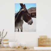 Jackass Poster (Keuken)