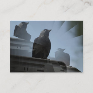 Jackdaw Bird Visitekaartje