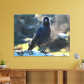 Jackdaw Canvas Afdruk (Insitu (Woonkamer))