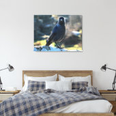 Jackdaw Canvas Afdruk (Insitu (Slaapkamer))