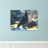 Jackdaw Canvas Afdruk (Insitu (Houten vloer))