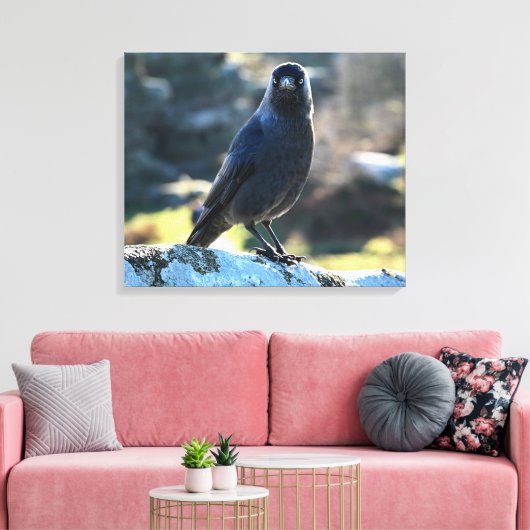 Jackdaw Canvas Afdruk (Insitu (Woonkamer))