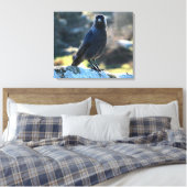 Jackdaw Canvas Afdruk (Insitu (Slaapkamer))