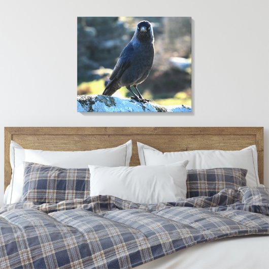Jackdaw Canvas Afdruk (Insitu (Slaapkamer))