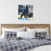 Jackdaw Canvas Afdruk (Insitu (Slaapkamer))