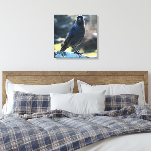 Jackdaw Canvas Afdruk (Insitu (Slaapkamer))