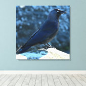 Jackdaw Canvas Afdruk (Insitu (Houten vloer))