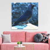 Jackdaw Canvas Afdruk (Insitu (Woonkamer))
