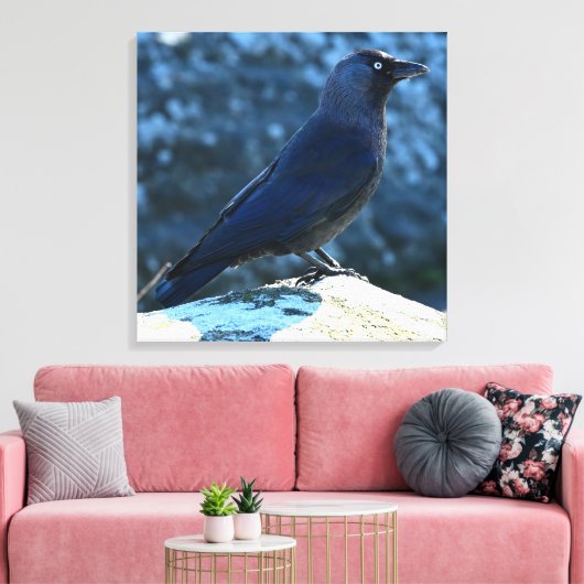 Jackdaw Canvas Afdruk (Insitu (Woonkamer))