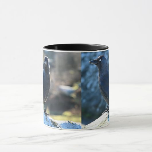 Jackdaw duo mok (Midden)