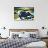 Jackdaw-eten Canvas Afdruk (Insitu (Slaapkamer))