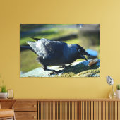 Jackdaw-eten Canvas Afdruk (Insitu (Woonkamer))
