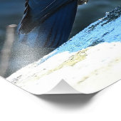 Jackdaw Foto Afdruk (Hoek)