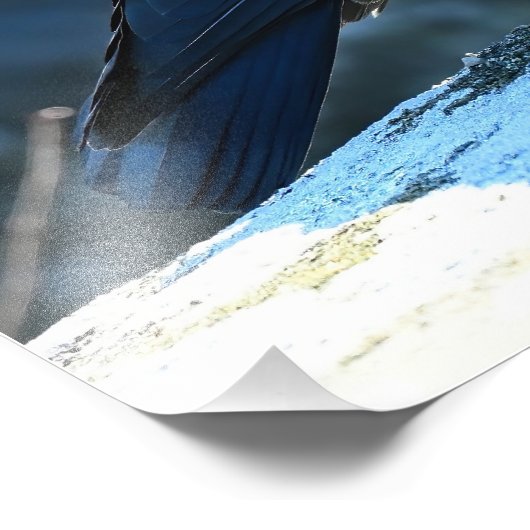 Jackdaw Foto Afdruk (Hoek)