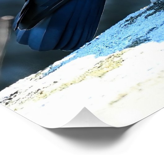 Jackdaw Perfect Poster (Hoek)