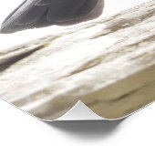 Jackdaw-Poster Perfect Poster (Hoek)