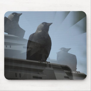 Jackdaw vogel Mousepad Muismat