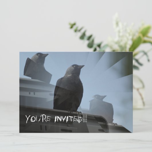 Jackdaw Vogel Uitnodiging (Staand voorkant)