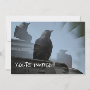 Jackdaw Vogel Uitnodiging