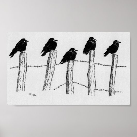 Jackdaws Poster (Voorkant)