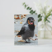 Jackdog Briefkaart (Staand voorkant)