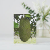 Jackfruit hangend aan boom briefkaart (Staand voorkant)