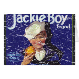 Jackie Boy - in nood