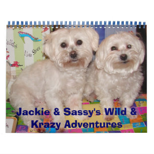Jackie & Sassy Wildernis & Avonturen Krazy Kalender