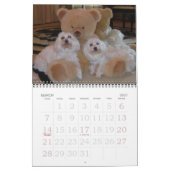 Jackie & Sassy's Wilde & Krazy Adventures Kalender (Mar 2027)